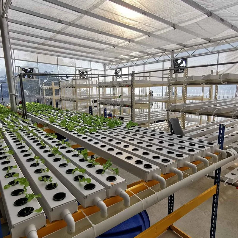 Commercial Soil Free Cultivation Nft Food-Grade Hydroponic Farming Systems for Leafy Greens