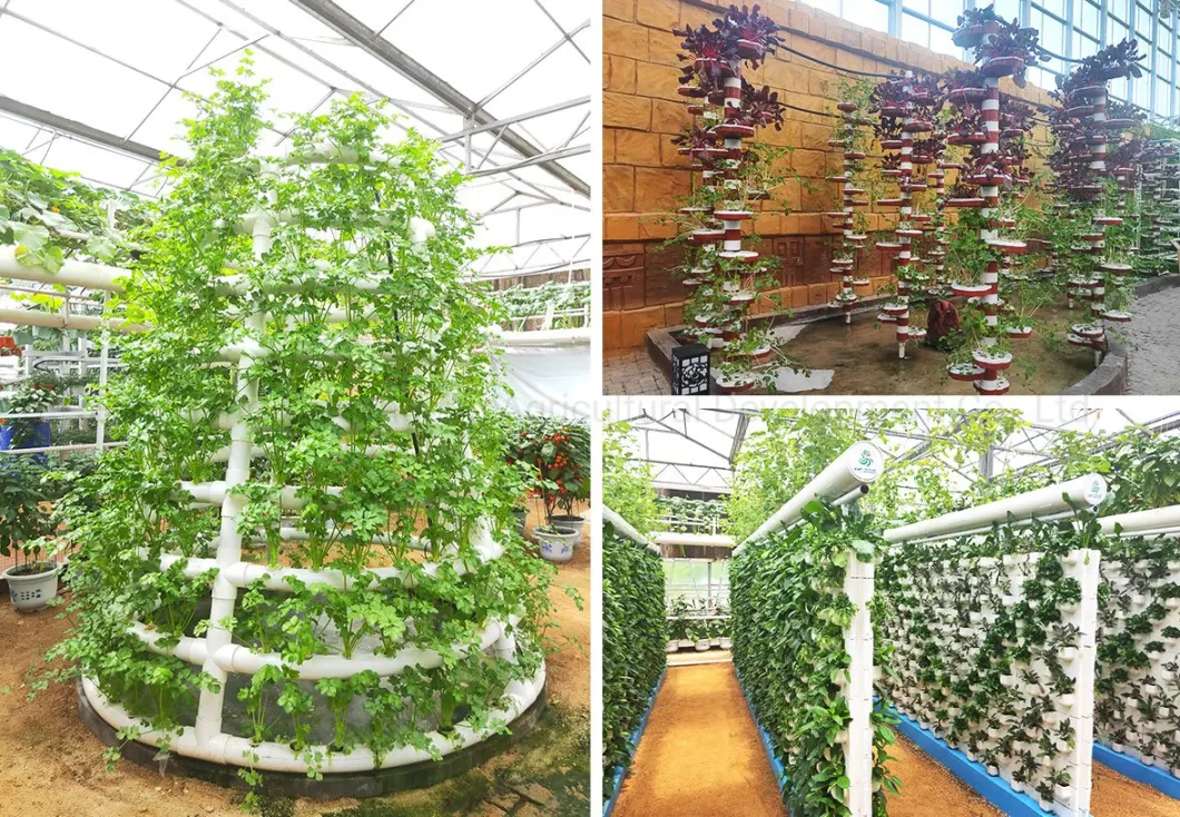 Vertical Horizontal Nft Channels Hydroponics Growing System for Green Flower Garden Leaf Vegetables/ Celery/Lettuce