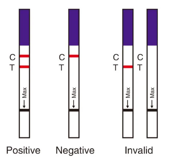 HBV Poct Medical Detection Instrument